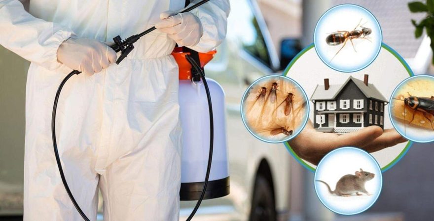 Sarıcakaya Böcek İlaçlama