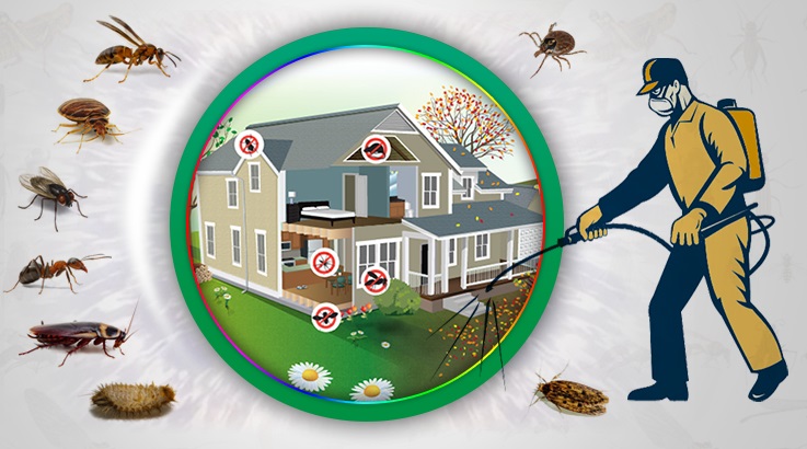 Sarıcakaya Böcek İlaçlama