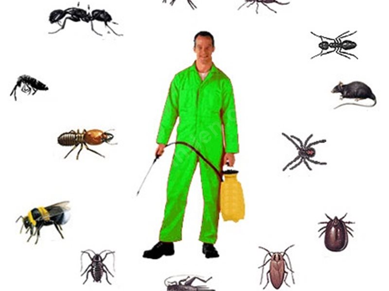 Sarıcakaya Böcek İlaçlama